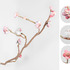 20120114194035-branch