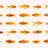 20120114195808-goldfish50001a4