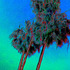 20120114225058-blue1_palms2010-05-2118