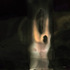 20120114233844-picture6