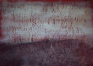 20120115004911-mottledearthandskyvs_5641