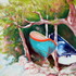 20120115104820-2007_elba_punta_del_cotoncello_1677x1300p_24x18