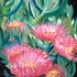 20120115105635-2010_essbare_mittagsblume_pastell_1300x1677p_33x44_cm