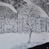 20120115141826-mondo_incantato