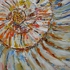 Shell2