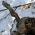 20120116000730-witch_hunt_7