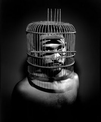 20120116024844-20120112202935-javier_machado_the_bear_cage