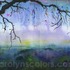 20120117082343-cold_fog079