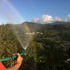 20120117233340-bosques_iris_2012