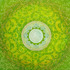 20120118231459-acever_so_slowly