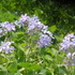 20120118233010-dscn0269