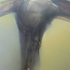 20120119192941-homage_to_rubens-fragment_viii-oil_on_canvas-78x62_collage