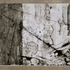 20120119234629-bones001