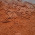 20120120005942-04--1