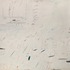 20120120160942-cy_twombly__untitled__1960-61__colored_pencil_and_graphite_on_paper___32_x_35_cm__sonnabend_collection__new_york___cy_twombly_foundation_small_