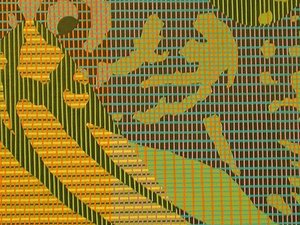 20120120163853-yellow_fish_close