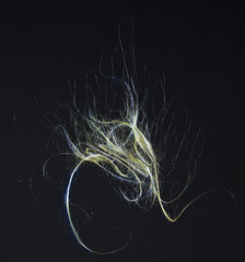 My Hovercraft is Full of Eels ,Jill Greenberg