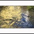 20120120221741-old_man_wind