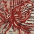 Chrysanthemum_oil_on_canvas_36x36_inches_2009