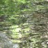 20120121090348-pool_1img_5285