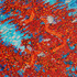 20120121182541-boiling-point-detail-4-web-dsc_4419