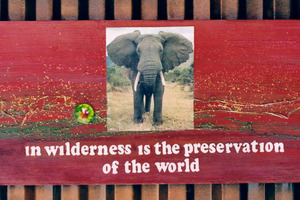 20120121205153-ans_in_wilderness_paper