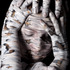20120121213522-2_lawrenalice_acceptance_10