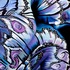 20120121213717-9_lawrenalice_wings1_10