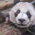 2008-10-29_006_sm
