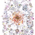 20120122192816-cellular2_comprb