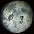 20120122202031-huascarmoonnoborder