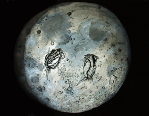 20120122202031-huascarmoonnoborder