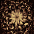 20120123001951-ryanbush_mandala_2