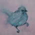20120123033102-flycatcher-2_web