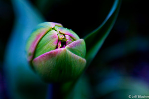 20120123041245-042008_5303
