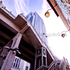 20120127184435-_mg_4645color
