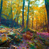 20120524132309-2027webcr