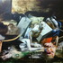20120123080005-bild_3