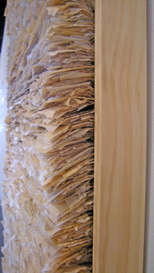 20120123152246-abijanac_02b_thick_skinned