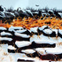 20120123185749-final_rework_002