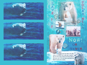 20120123194215-ans_save_plr_br_pr