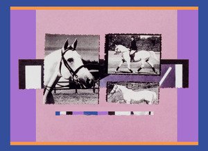 20120123200520-horse___rider_4_9_11