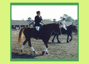 20120123202733-horse___rider_7a_rt