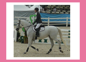 20120123205645-horse___rider_9a_rt