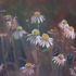 20120123210152-white_swan_echinacea_16_x_20_oil_on_panel