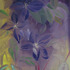 20120123211003-clematis-copy