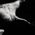 Raiz_contrast_01
