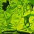 20120124162144-underwater