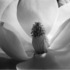 20120124170110-various_ex_collectors_archives_11