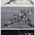 20120124175507-development_of_emotions